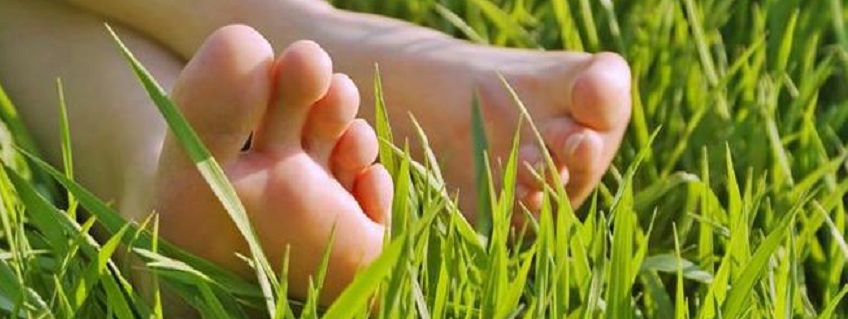 bare_feet_in_grass